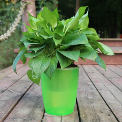 Nordic Hydroponics Self-Watering Flower Pot in various colours for fairy gardens and home decor