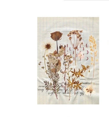 Herbarium Series DIY Plant Stickers pack featuring vibrant plant designs for creative projects