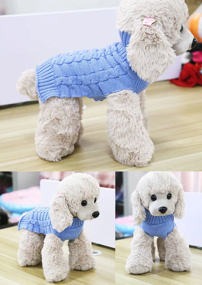 Cashmere twisted rope pattern wool dog sweater shown in blue colour on small dog