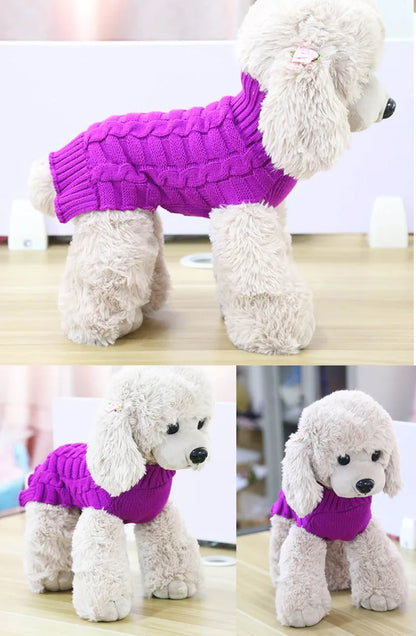 Cashmere twisted rope pattern wool dog sweater shown in blue colour on small dog