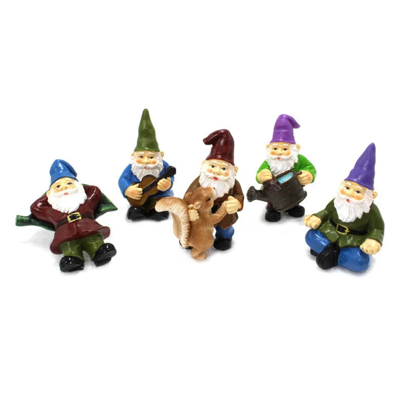 Colourful dwarf garden kit with succulent design, perfect for outdoor decoration