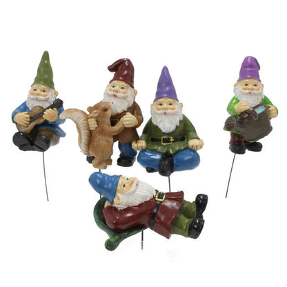 Colourful dwarf garden kit with succulent design, perfect for outdoor decoration