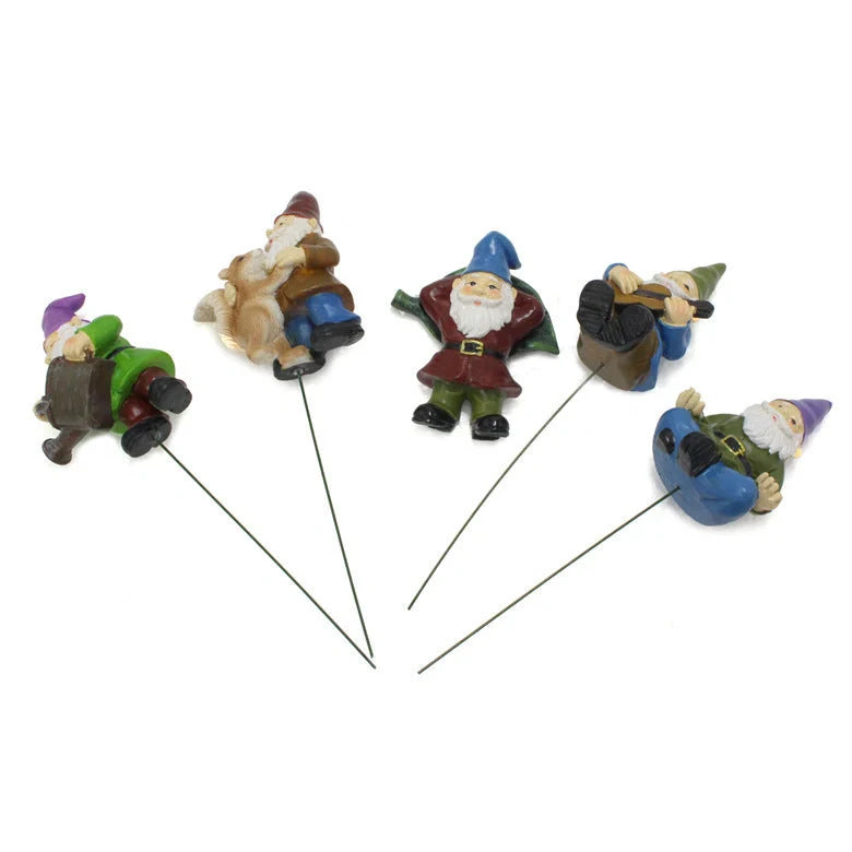 Colourful dwarf garden kit with succulent design, perfect for outdoor decoration