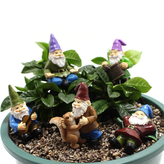 Colourful dwarf garden kit with succulent design, perfect for outdoor decoration