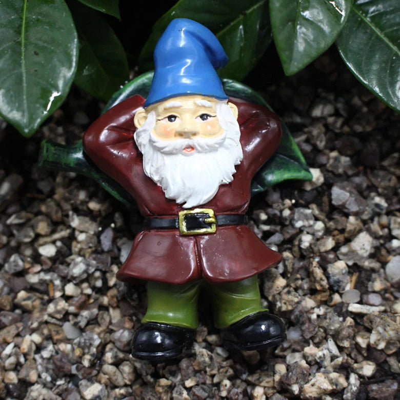 Colourful dwarf garden kit with succulent design, perfect for outdoor decoration