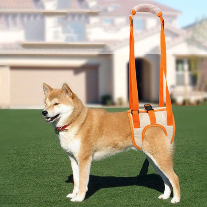 Adjustable dog lift harness in orange, supporting hind legs with breathable mesh