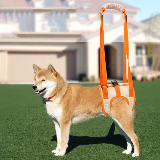 Adjustable dog lift harness in orange, supporting hind legs with breathable mesh