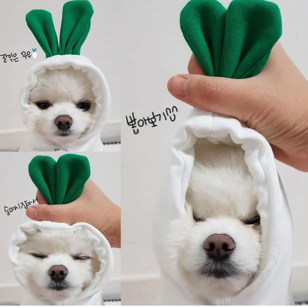 Cozy, fruit-themed dog hoodies in various sizes and styles to keep small pups warm and stylish during the winter season