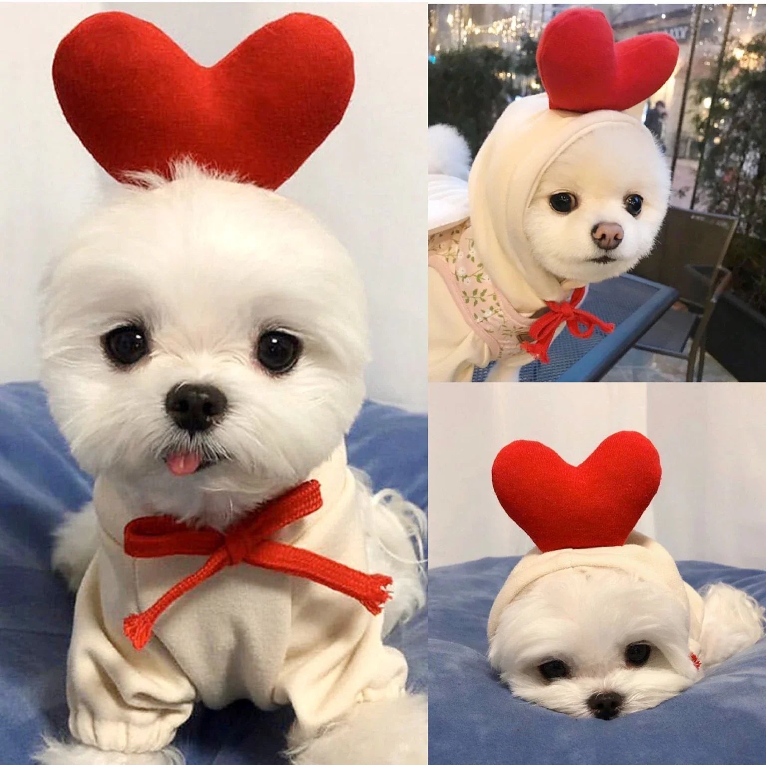 Cozy, fruit-themed dog hoodies in various sizes and styles to keep small pups warm and stylish during the winter season