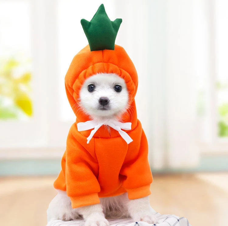 Cozy, fruit-themed dog hoodies in various sizes and styles to keep small pups warm and stylish during the winter season