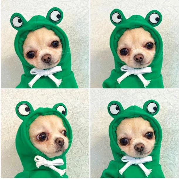 Cozy, fruit-themed dog hoodies in various sizes and styles to keep small pups warm and stylish during the winter season
