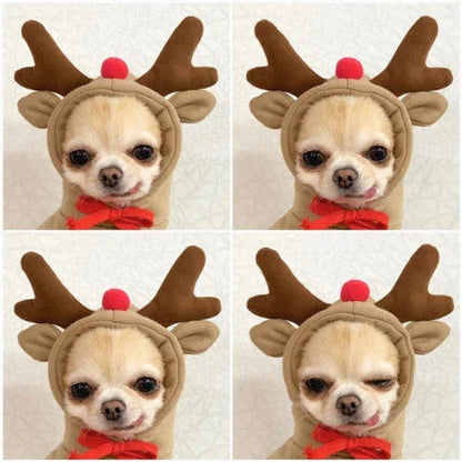 Cozy, fruit-themed dog hoodies in various sizes and styles to keep small pups warm and stylish during the winter season