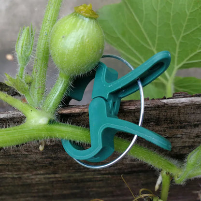 20 pack mixed size green eco plastic plant fixing clips for garden climbing plants