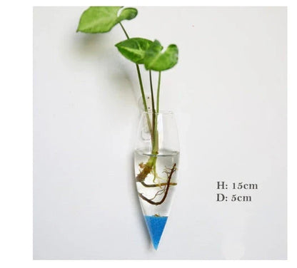Wall-mounted glass flower vase and terrarium with various design options for customization and decoration