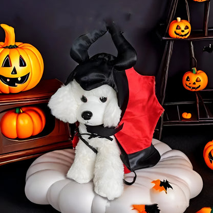 Red Halloween bat costume cloak and pointed hat on a small dog
