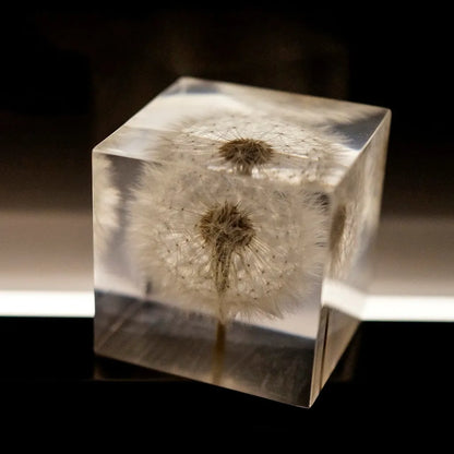 Square clear resin cube containing preserved dandelion flower with wooden box and USB base