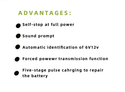 BT 168 model 12 volt 24 volt automobile battery charger with American plug for lead acid batteries