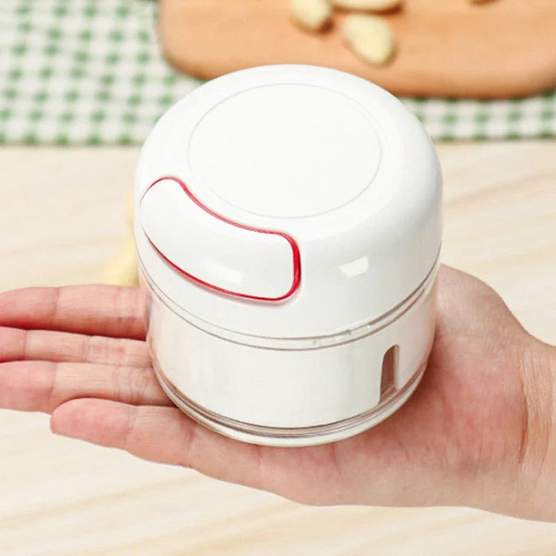 A versatile manual food chopper with self-locking blade mechanism, suitable for chopping a variety of ingredients in the kitchen.