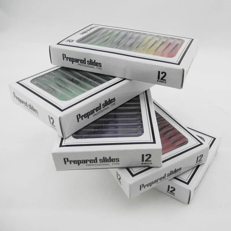 Four colour-coded boxes containing plastic microscope slides with plant rhizome and animal specimen samples for children