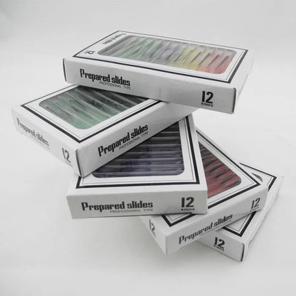 Four colour-coded boxes containing plastic microscope slides with plant rhizome and animal specimen samples for children