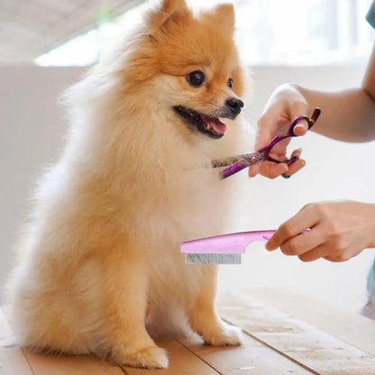 Multifunctional pet comb with fine-tooth stainless steel head, non-slip handle, washable body, in Blue, Rose Red, or White.
