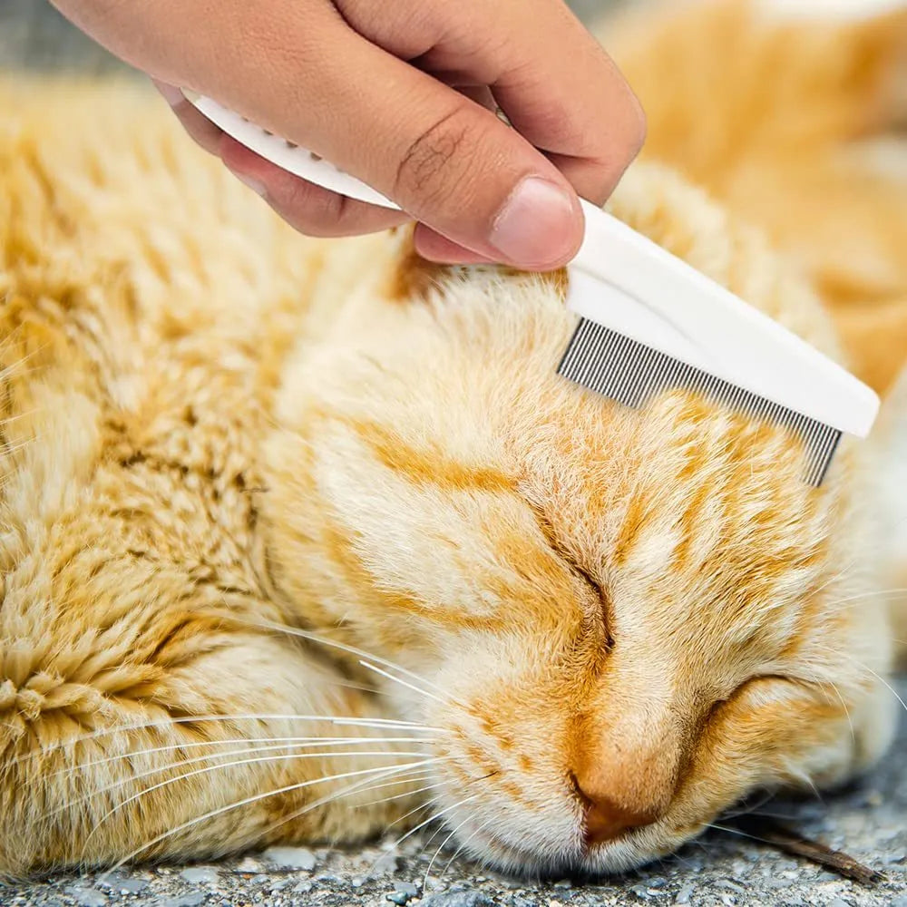 Multifunctional pet comb with fine-tooth stainless steel head, non-slip handle, washable body, in Blue, Rose Red, or White.