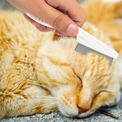 Multifunctional pet comb with fine-tooth stainless steel head, non-slip handle, washable body, in Blue, Rose Red, or White.