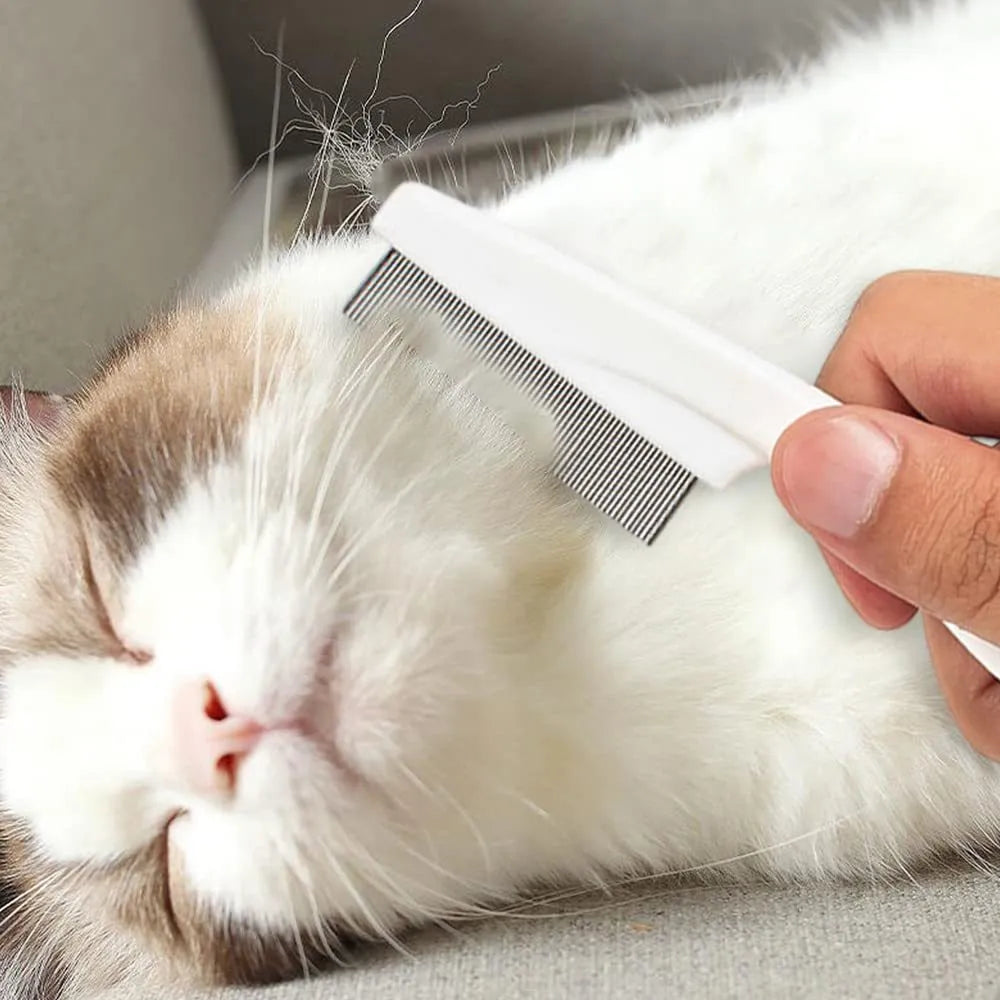 Multifunctional pet comb with fine-tooth stainless steel head, non-slip handle, washable body, in Blue, Rose Red, or White.
