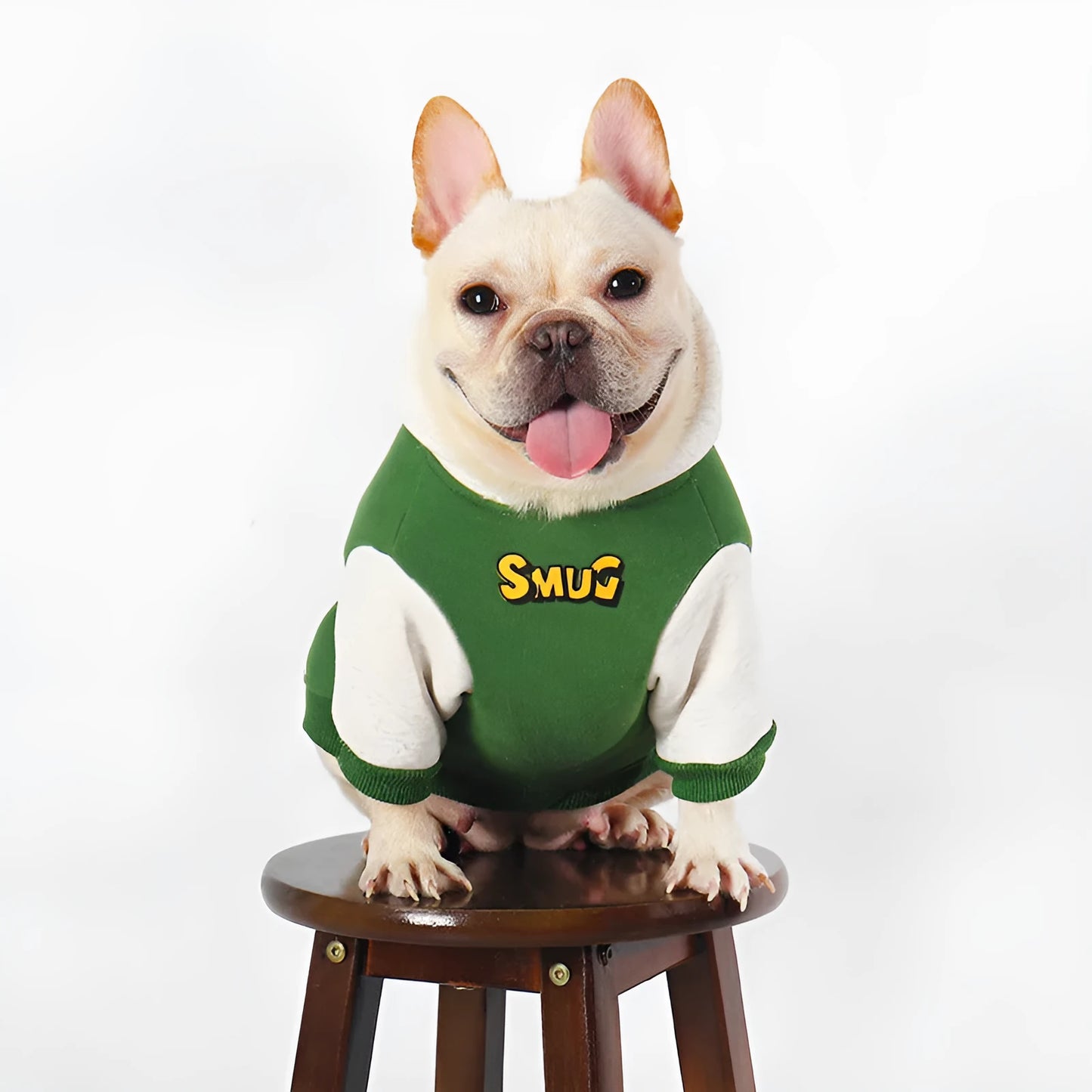 Green cotton dog coat for large dogs in sizes L XL 2XL 3XL 4XL for autumn and winter wear.