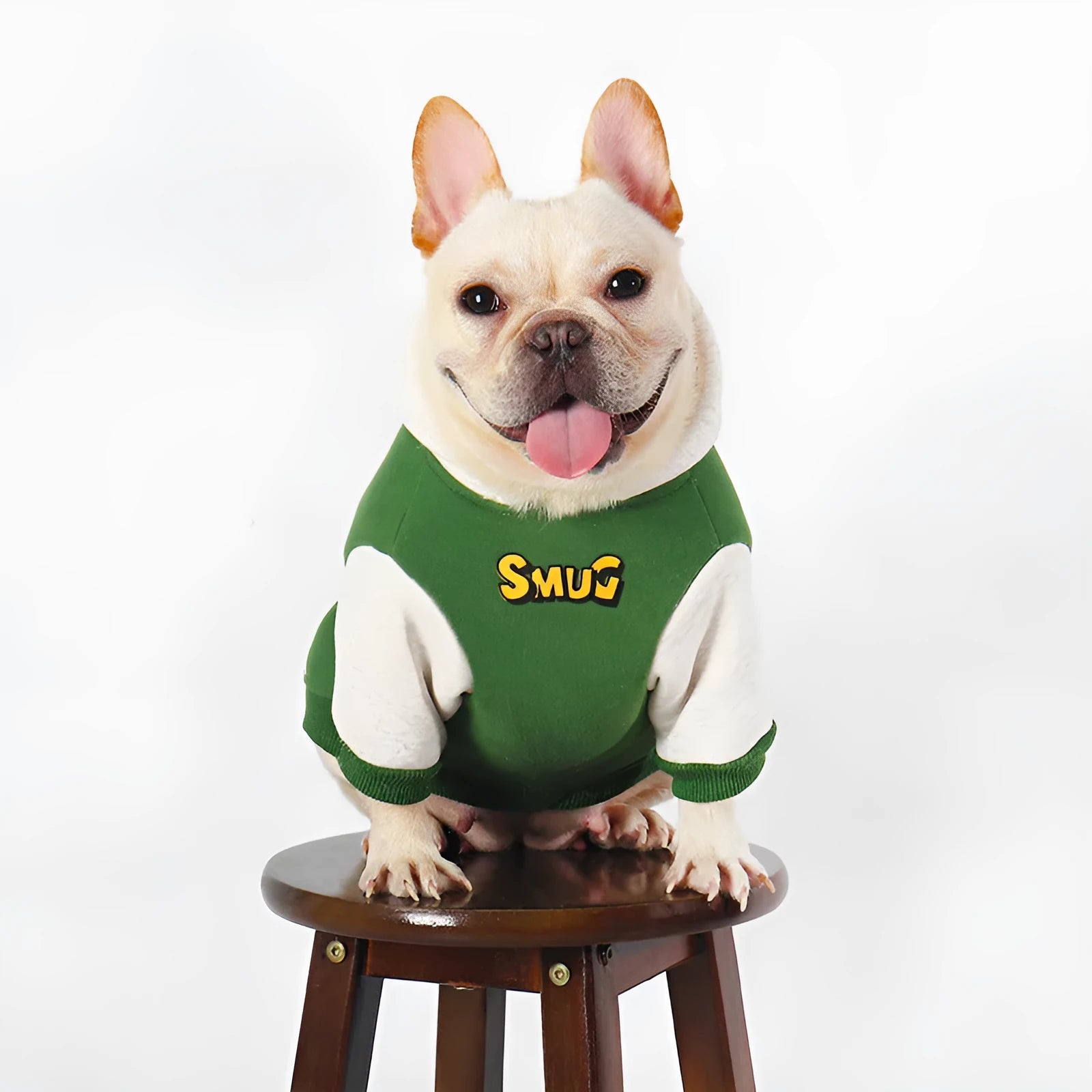 Green cotton dog coat for large dogs in sizes L XL 2XL 3XL 4XL for autumn and winter wear.