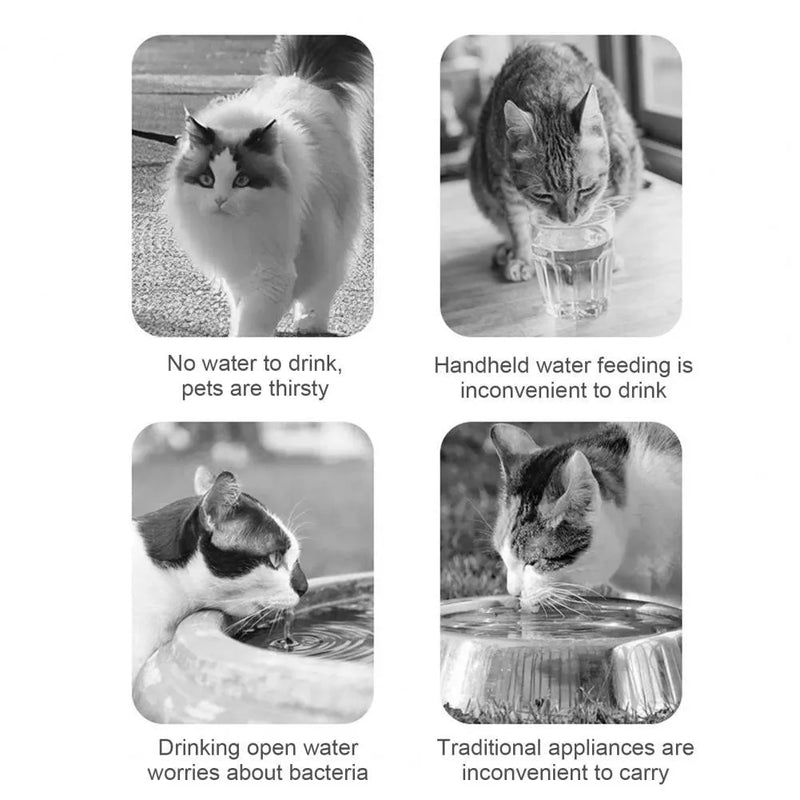 Portable Pet Water Bottle and Food Container for Cats and Dogs with 200ml Water Capacity, 90g Food Storage, Leak-Proof Double Silicone Seals, PP Material in White or Orange for Outdoor Travel and Walks