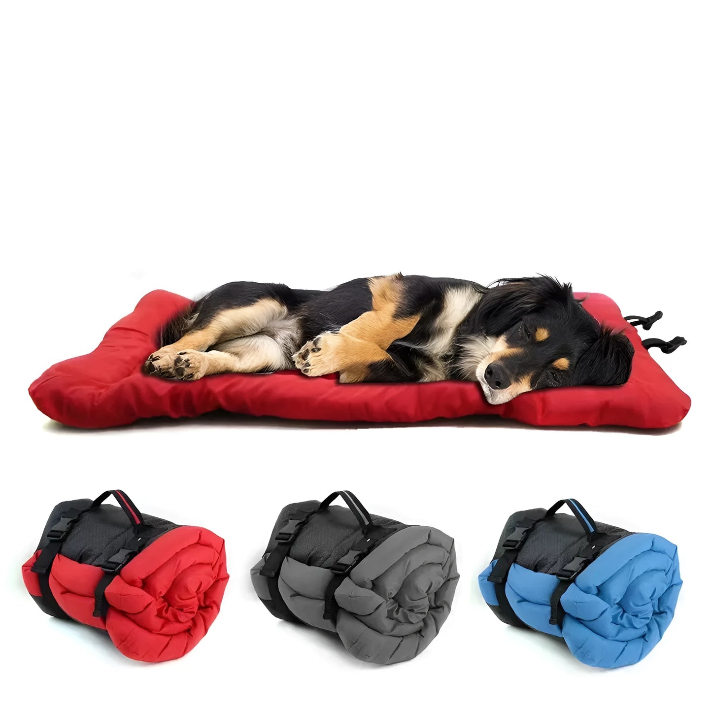 Blue foldable outdoor dog bed shown both fully unfolded and folded with buckles, on grass.
