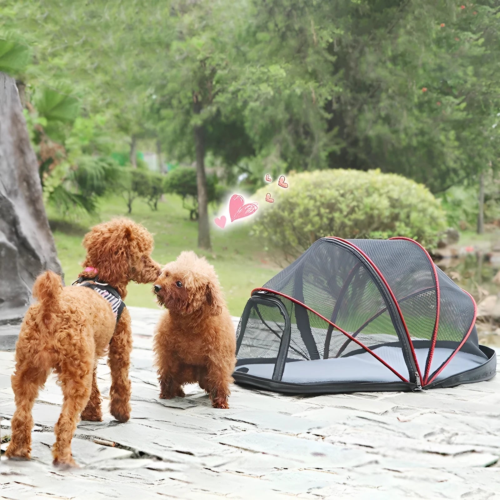 Black and blue half mesh portable folding tent for cats on a grey background.