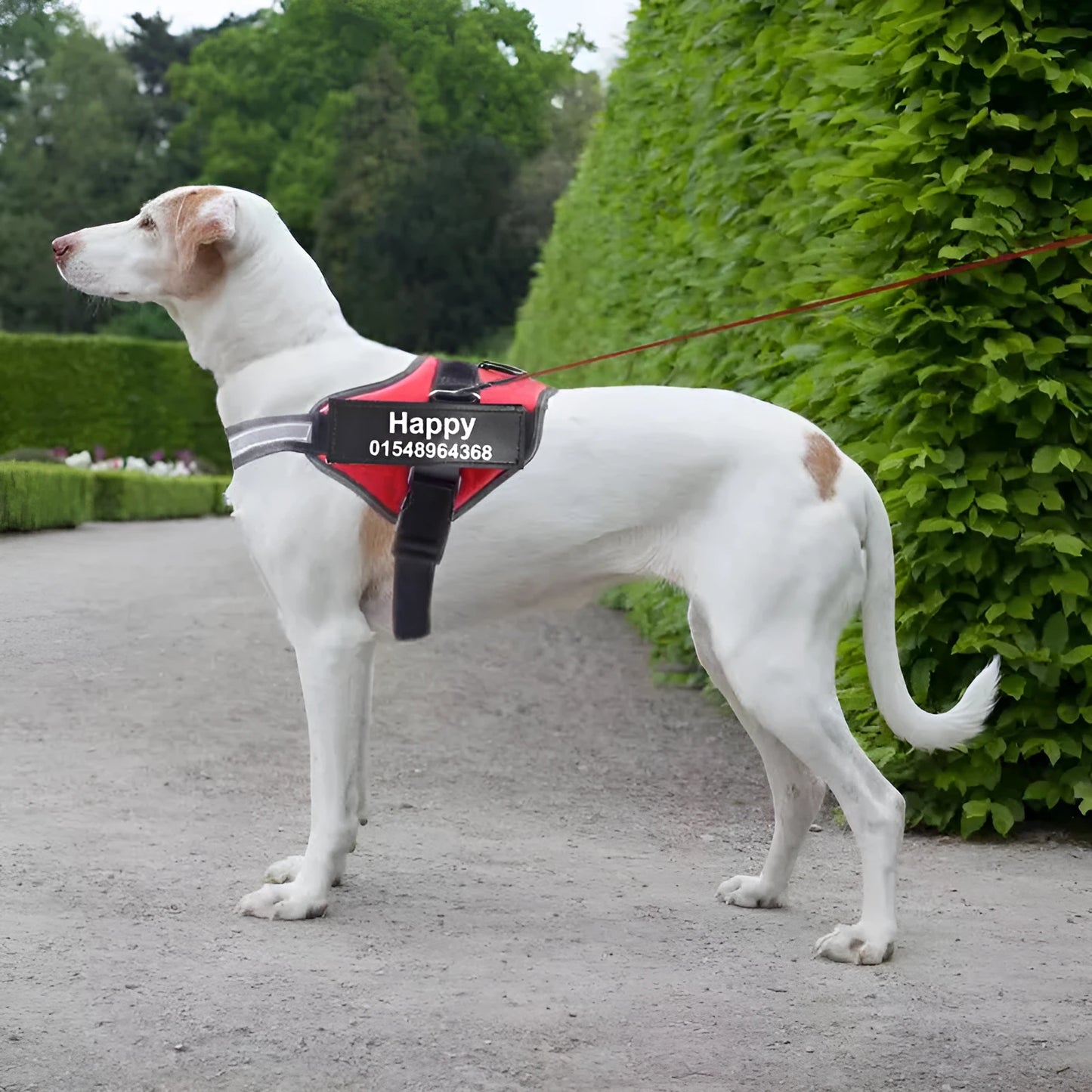 Adjustable reflective nylon dog harness vest with a sturdy handle and chest strap, shown on a size chart.
