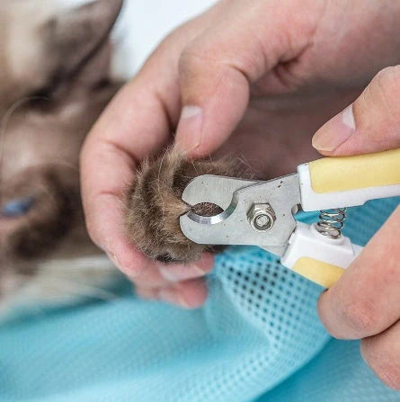 Adjustable polyester cat grooming bag with front zipper for easy access