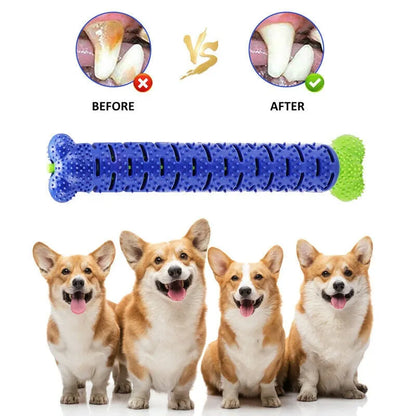 Blue and green dog chew toy toothbrush, 25cm rubber bone with hidden bristles and treat dispenser