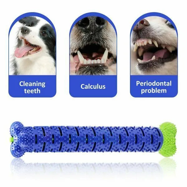 Blue and green dog chew toy toothbrush, 25cm rubber bone with hidden bristles and treat dispenser