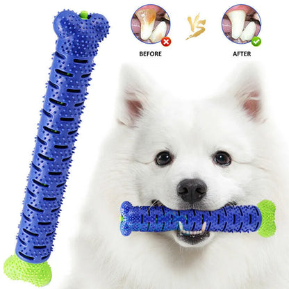 Blue and green dog chew toy toothbrush, 25cm rubber bone with hidden bristles and treat dispenser