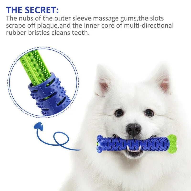 Blue and green dog chew toy toothbrush, 25cm rubber bone with hidden bristles and treat dispenser