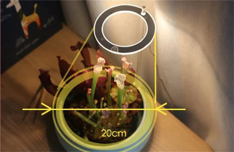 USB LED plant grow light with acrylic stick in multiple head configurations