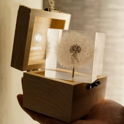 Square clear resin cube containing preserved dandelion flower with wooden box and USB base