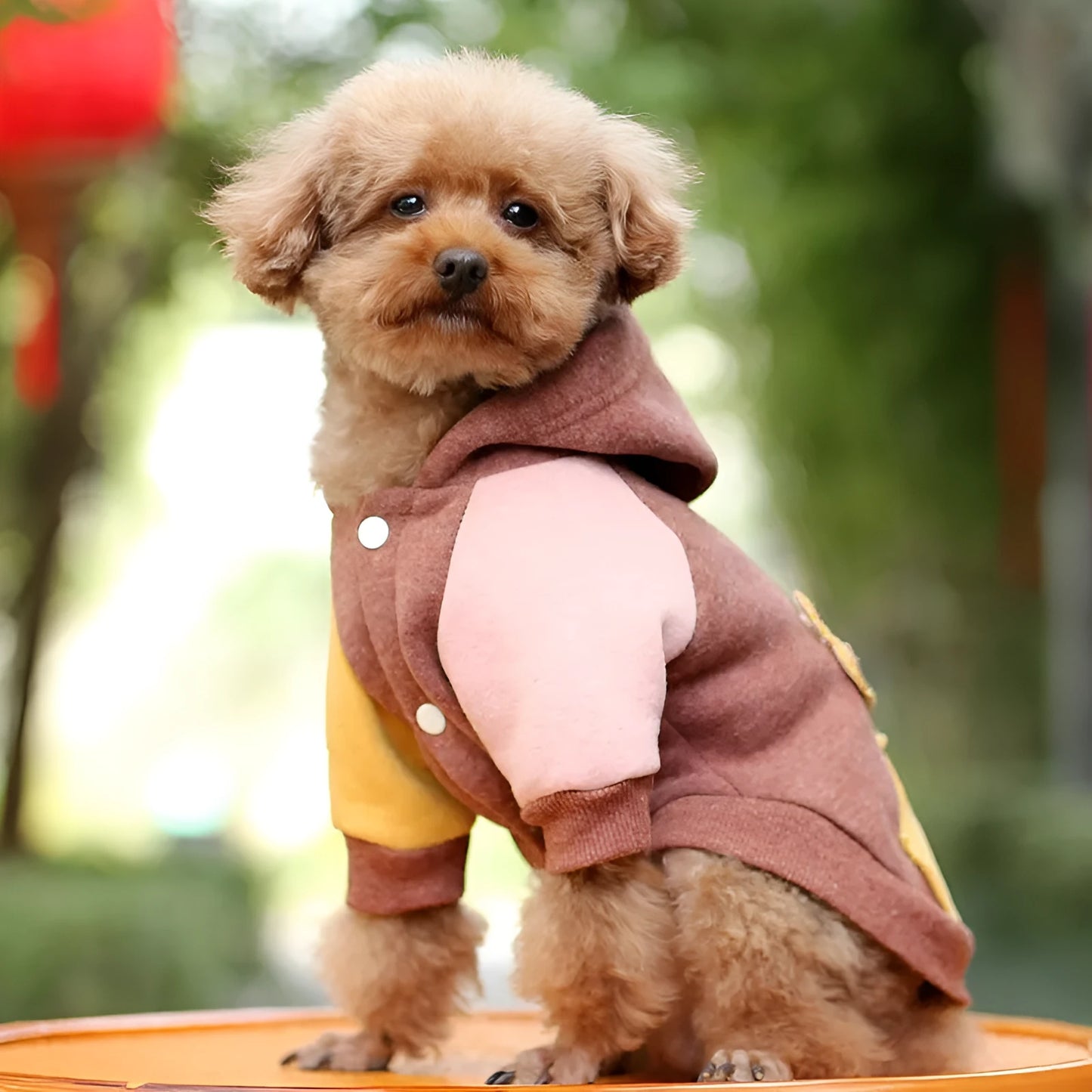 Cotton pet sweatshirt for dogs and cats in brown, green, or pink colours