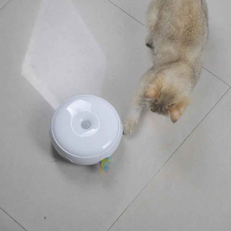 Electric cat toy with automatic donut turntable and feather accessories