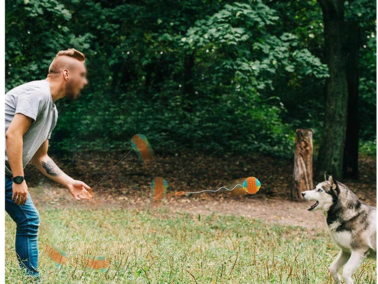 Interactive dog toy with retractable throwing ball, textured dental chew surface, and durable ABS construction