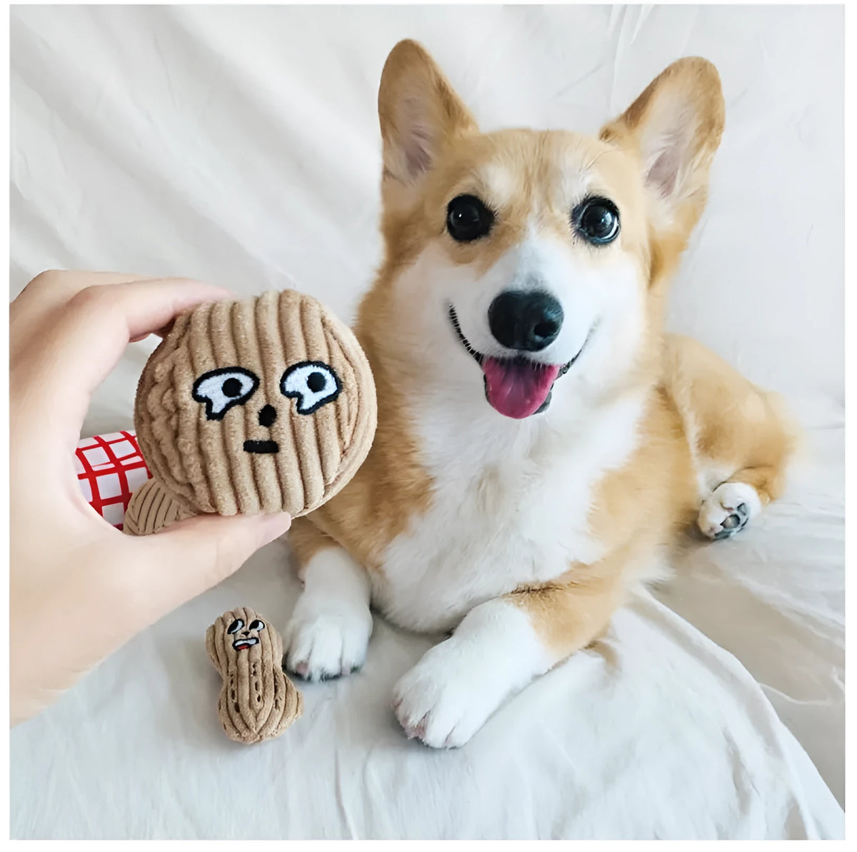 Dog sniffing toy set with two walnut pieces, one peanut piece and snack bag with rustling paper