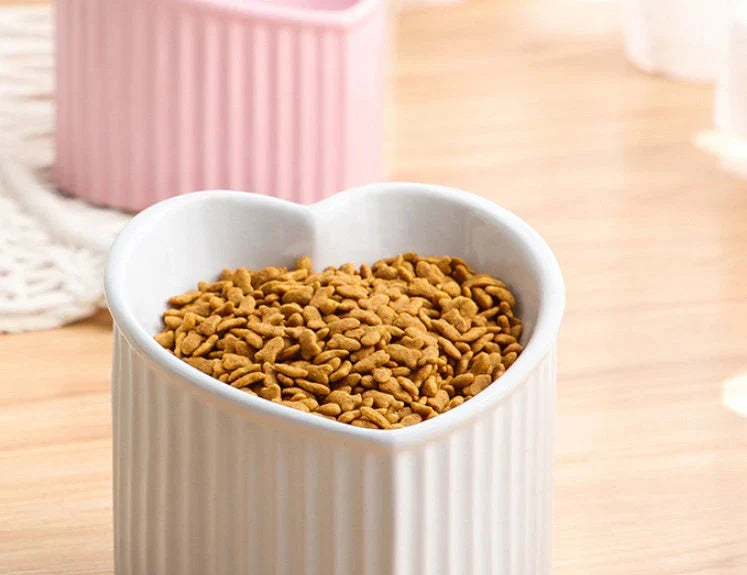 Elevated ceramic pet bowl with tilted design for comfortable and healthy feeding