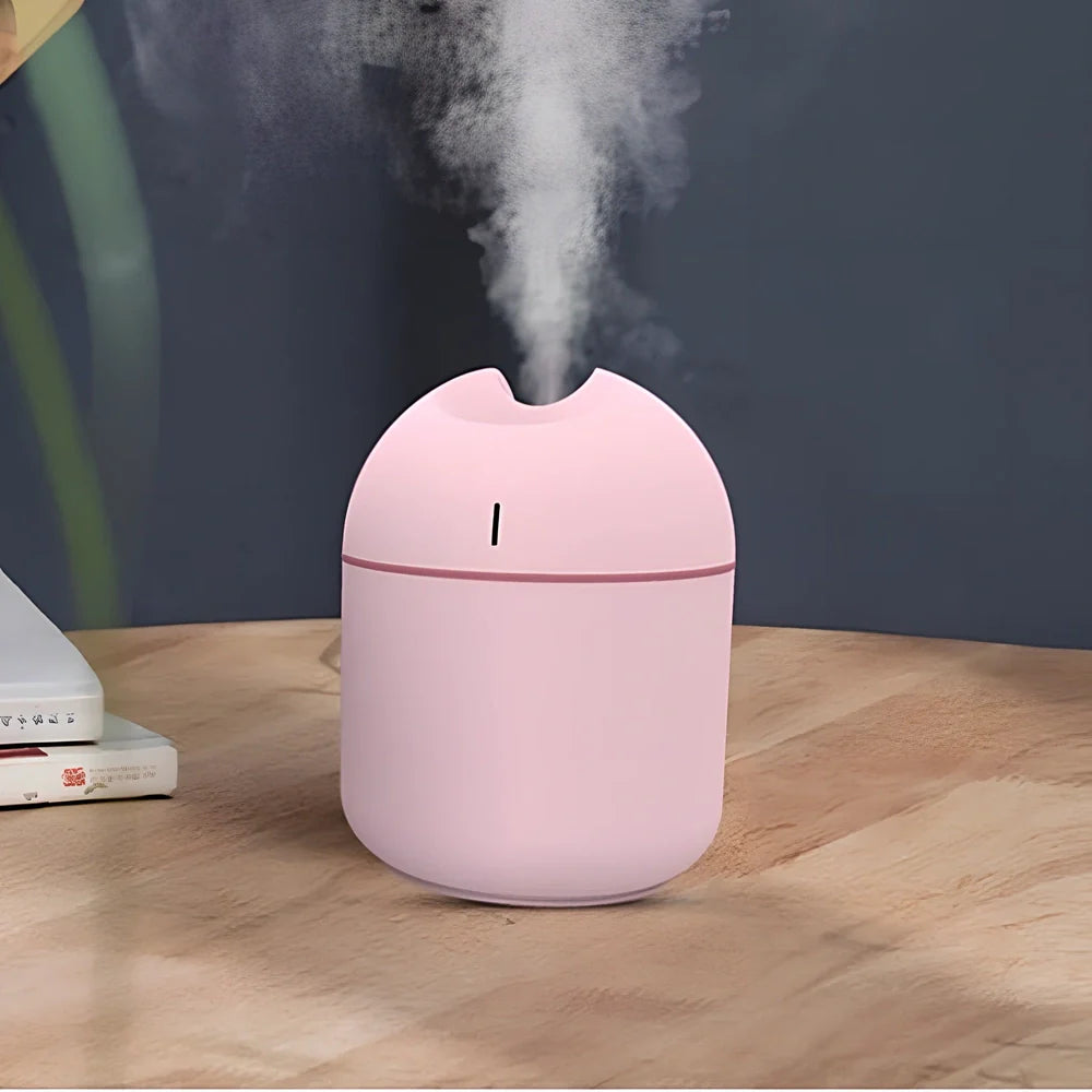 White USB aromatherapy humidifier with 1L tank and single mist outlet for 21-30 sq m rooms
