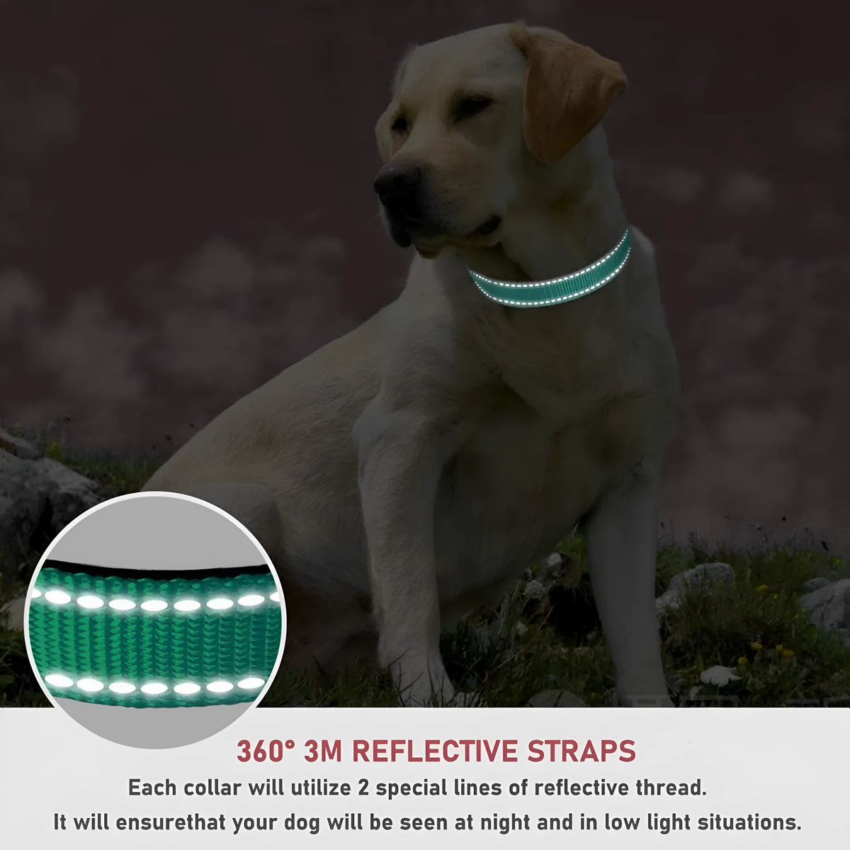 Nylon adjustable dog collar with chest strap in multiple colour options on a white background