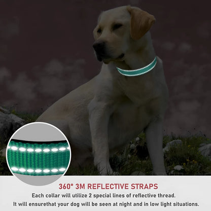 Nylon adjustable dog collar with chest strap in multiple colour options on a white background