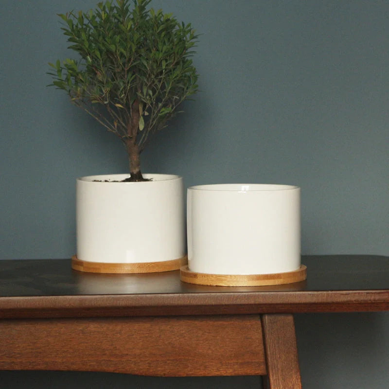 White ceramic flower pot with bamboo tray support for succulents and green plants
